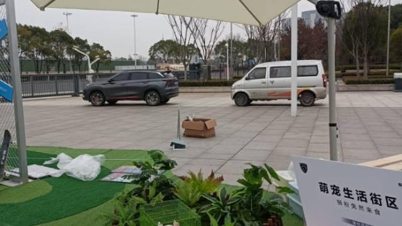 门头招牌审批规范2025：解读新规下的合规之路